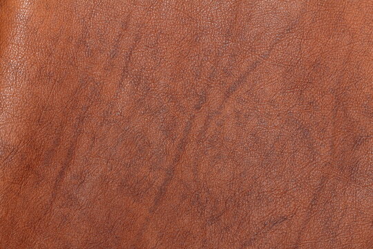 Genuine Aniline Leather