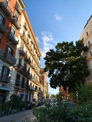 the town