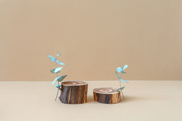 Two empty wooden podiums with rough texture and dry eucalyptus branches on beige background. Cylinder shaped displays. Mockup for natural or eco product in neutral colours. Minimal wabi sabi concept.
