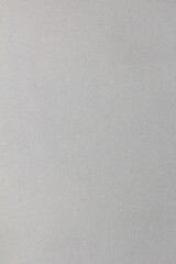 genuine aniline leather