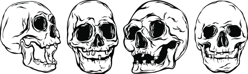 Hand drawn human skulls isolated on white. Isolated vector on light background