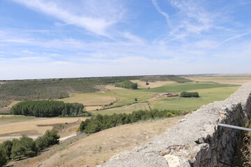 Fototapeta premium Campos de sembrado