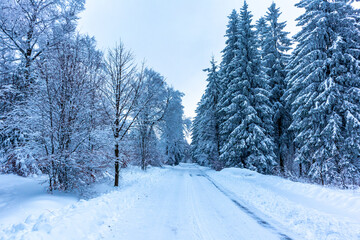 Wunderschöne Winterwanderung zum Bergsee am Rennsteig bei Floh-Seligenthal - Deutschland