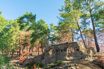 The fine Greco-Roman remains of the town of Seleucia (also known as Seleukia) in the vicinity of...