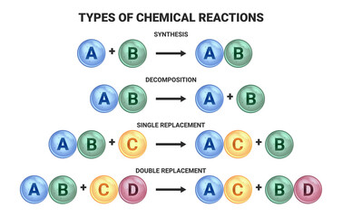 Vector scientific illustration of four basic types of chemical reactions isolated on a white background. Synthesis, decomposition, single replacement, and double replacement.
