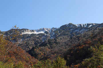 白山登山口・別当出合の紅葉と雪化粧の山並み（石川県白山市）