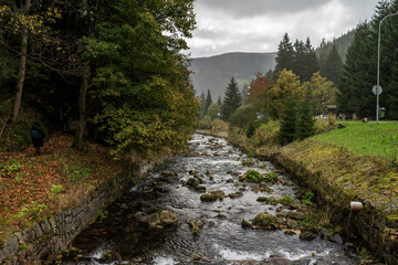 The Upa river in the Czech Republic and a left tributary of the river Elbe. Near of small town Pec pod Snezkou.
