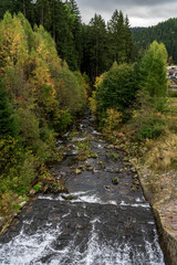 Obraz premium The Upa river in the Czech Republic and a left tributary of the river Elbe. Near of small town Pec pod Snezkou.