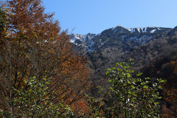 白山登山口・別当出合の紅葉と雪化粧の山並み（石川県白山市）