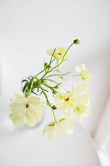 bouquet of pastel yellow flowers on white table