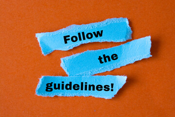 Follow The Guidelines word written under brown torn paper