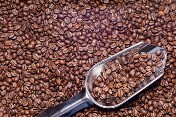 fresh roasted coffee beans scooped out of burlap sack