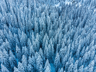 Cold and snowy winter. Sappada Dolomites from above.