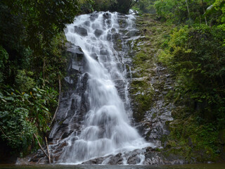 Fototapeta premium Waterfall in the forest