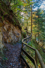 Autumn and colors of nature in the Tarvisio area. Orrido dello Slizza.