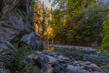 Autumn and colors of nature in the Tarvisio area. Orrido dello Slizza.