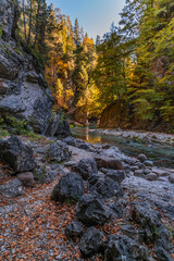 Autumn and colors of nature in the Tarvisio area. Orrido dello Slizza.