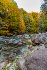 Autumn and colors of nature in the Tarvisio area. Orrido dello Slizza.