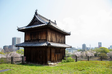 春の福岡舞鶴公園の景色