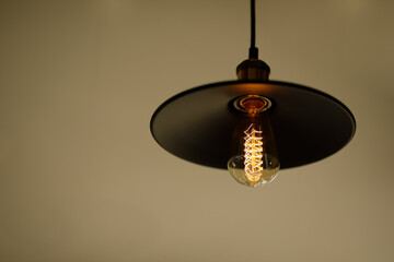 Vintage hanging lamp with edison light bulb