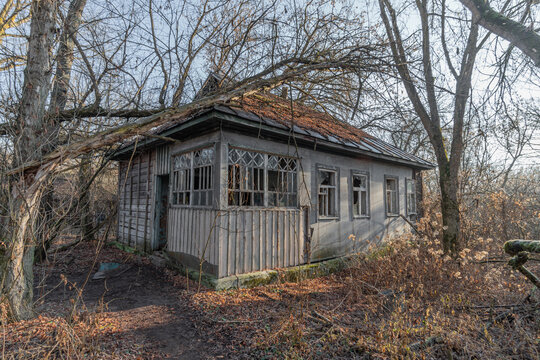 Old abandoned wooden house in the Chernobyl Exclusion Zone. Zalissya, Ukraine.