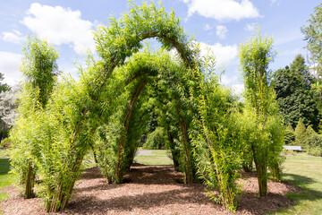 Pretty public park with arches made of braided willow seen during a sunny summer day, Montreal, Quebec, Canada