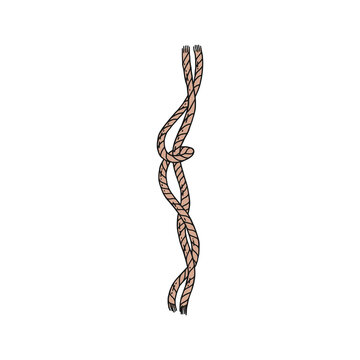 rope with loop. Vector doodle sketch isolated illustration.