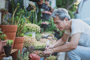 asian senior man relaxing in home garden - 479980132