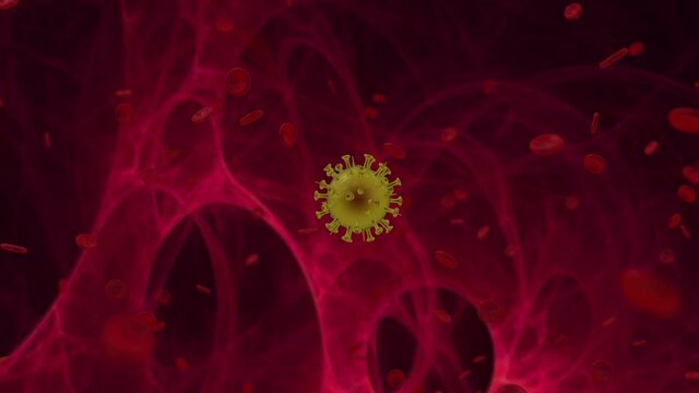 Pandemic covid 19. Infections Animation of the division of the virus inside the human body, the process of the spread of the disease in the lungs of the infected. New coronavirus infection beta strain