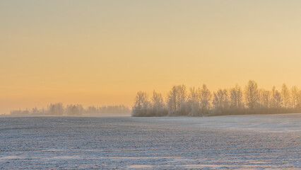 Winter landscape in snow nature with sun, field and trees. Magical winter sunset in a snow field.