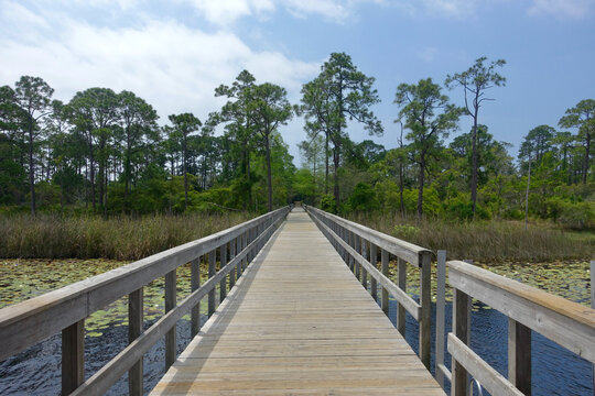 Boardwalk on Florida Gulf Coast