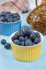 Bowl of tasty great bilberry
