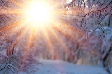 Fototapeta Sunset or sunrise in winter snow. Beautiful nature concept obraz