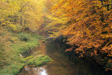 Scenic view of river Kamenice in Bohemian Switzerland, Czech republic in autumn. Popular tourist destination and national park