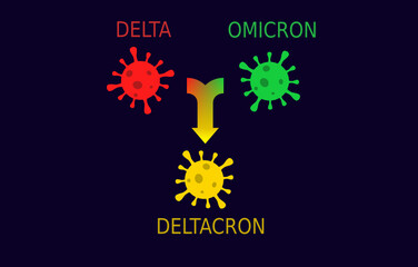 Coronavirus, COVID 19, deltacron variant. Colorful illustration