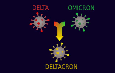 Coronavirus, COVID 19, deltacron variant. Colorful illustration