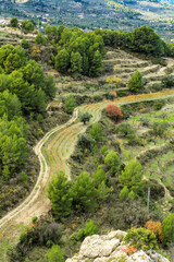 Fototapeta na wymiar Beautiful Vineyard and almonds plantation in Guadalest village, Spain