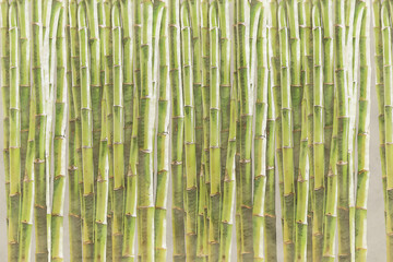 Illustration sketch of Green Bamboo wall backround