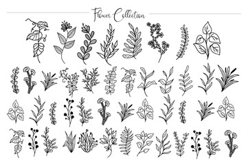 set of elements leaf and flower