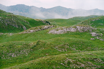 Fototapeta na wymiar Fog in a mountain valley in Durmitor National Park
