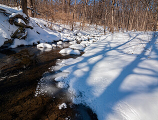 536-51 Bird Prints at Creek's Edge