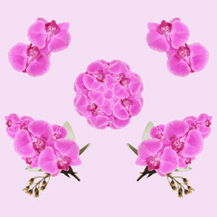 Fototapeta na wymiar Vector floral design, pink rose. Wedding, invite card Watercolor elements set.