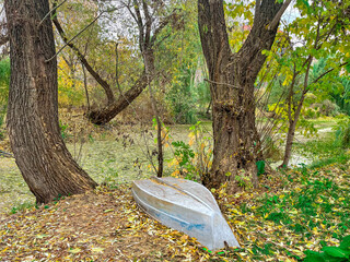 Overturned Rowboat in the Trees Along a Lake in Autumn Morning