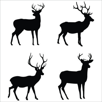 Graphic black silhouettes of wild Deer silhouette- vector illustration with white background