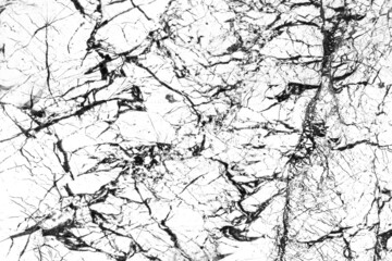 Obraz premium White marble with abstract black pattern cracks surface grunge wall texture background