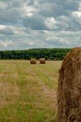 A large canopy stack close-up on a field against a natural landscape, a cloudy sky. Preparing food for animals.