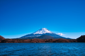 Fototapeta premium 本栖湖からの冬富士