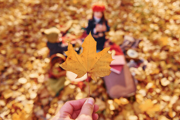 Little boy with his sister is sitting on the ground in the autumn park