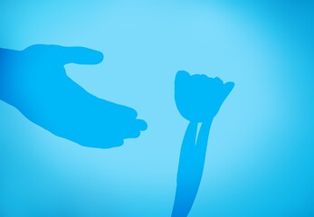 Shadows of hand and flower on light pastel background