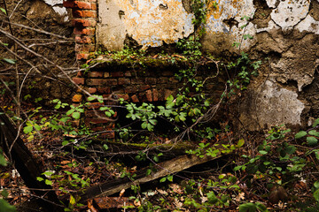 Stone house interior with abandoned fireplace, rural depopulation concept